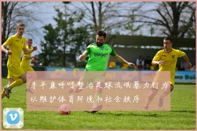 李平康呼吁整治足球流氓暴力行为以维护体育环境和社会秩序
