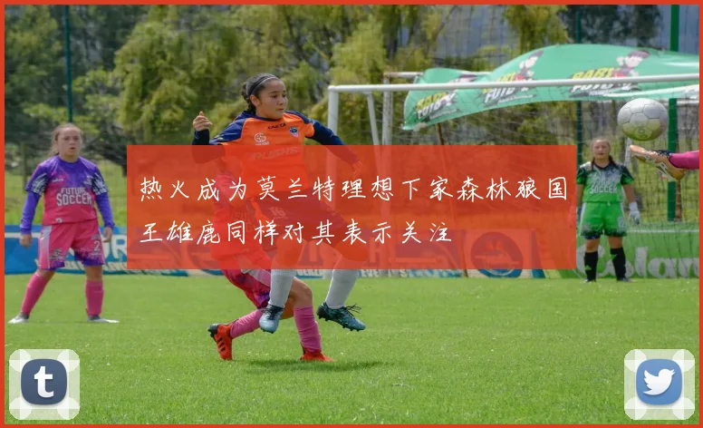 热火成为莫兰特理想下家森林狼国王雄鹿同样对其表示关注